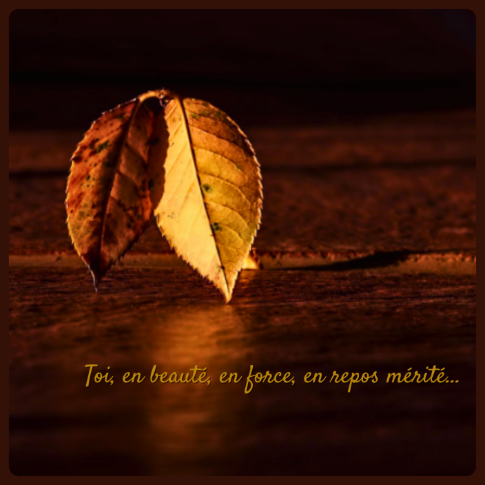 The Mirror universal cover